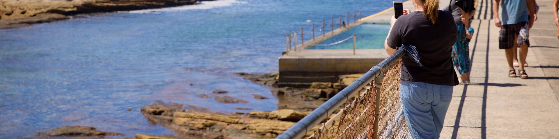 Clovelly Beach featuring general coastal views as well as a small group of people