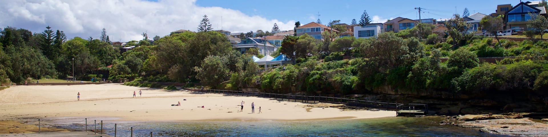 Clovelly Beach which includes a sandy beach and general coastal views