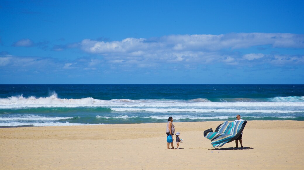 Maroubra Beach das einen Strand und allgemeine Küstenansicht sowie Familie