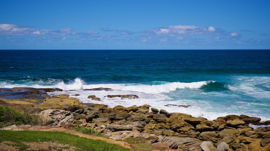 Maroubra Beach som inkluderer kyst