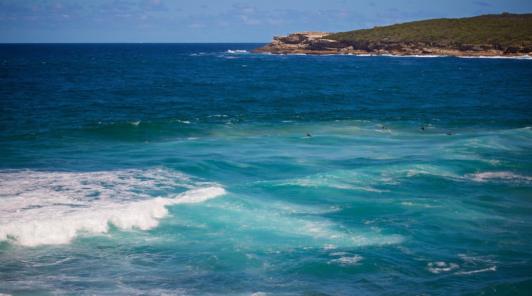 Maroubra Beach som visar surfing och kustutsikter