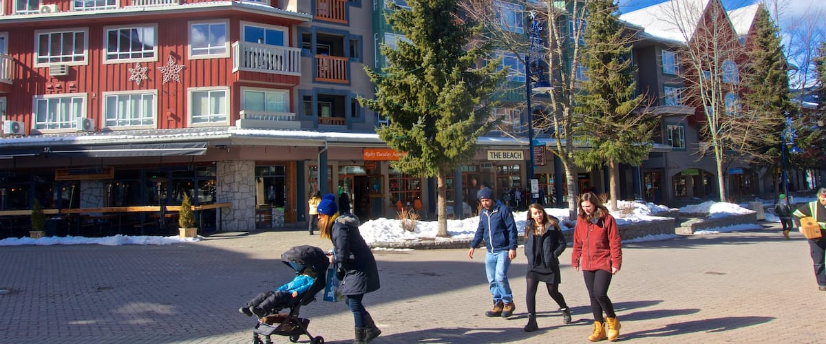 Whistler Blackcomb Ski Resort which includes snow as well as a small group of people