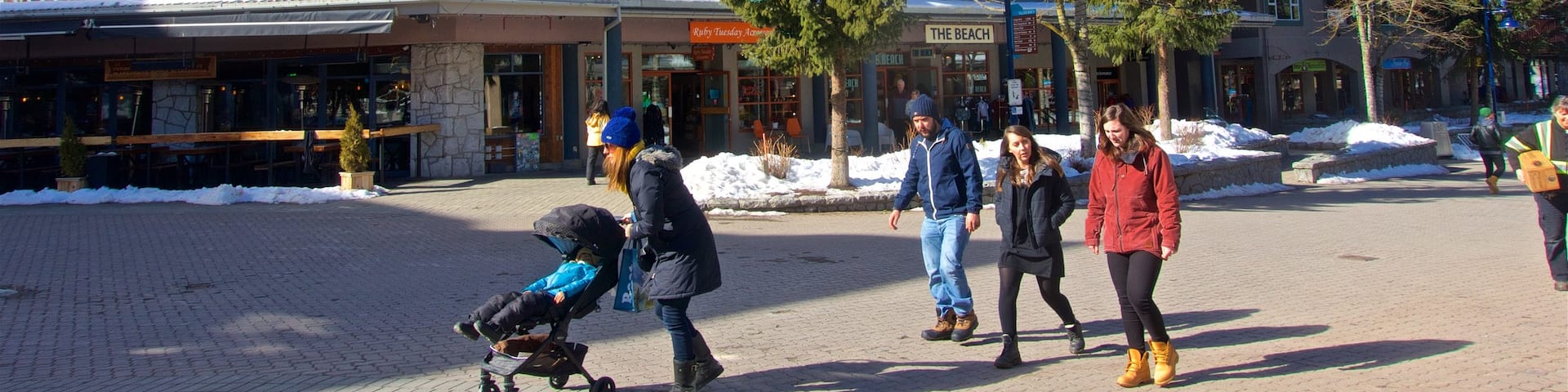 Whistler Blackcomb Ski Resort which includes snow as well as a small group of people