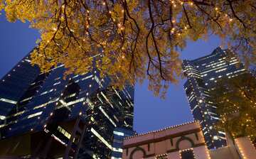 Visitez Fort Worth Le Meilleur De Fort Worth Texas Pour 21 Expedia Visitez Fort Worth Le Meilleur De Fort Worth Texas Pour 21 Expedia