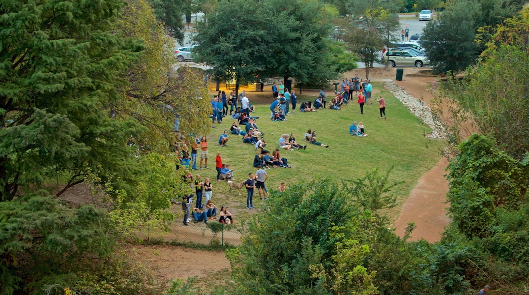 Ann W. Richards Congress Avenue Bridge featuring a park as well as a small group of people