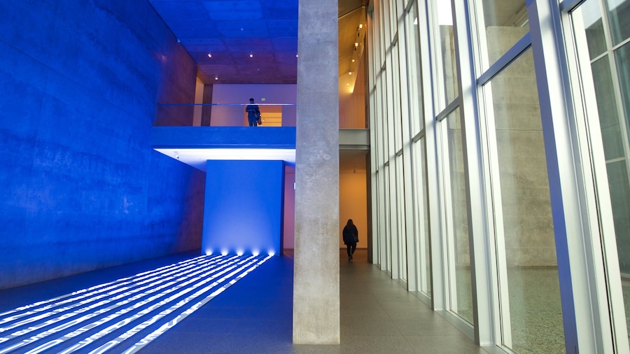 Modern Art Museum of Fort Worth mostrando vista interna