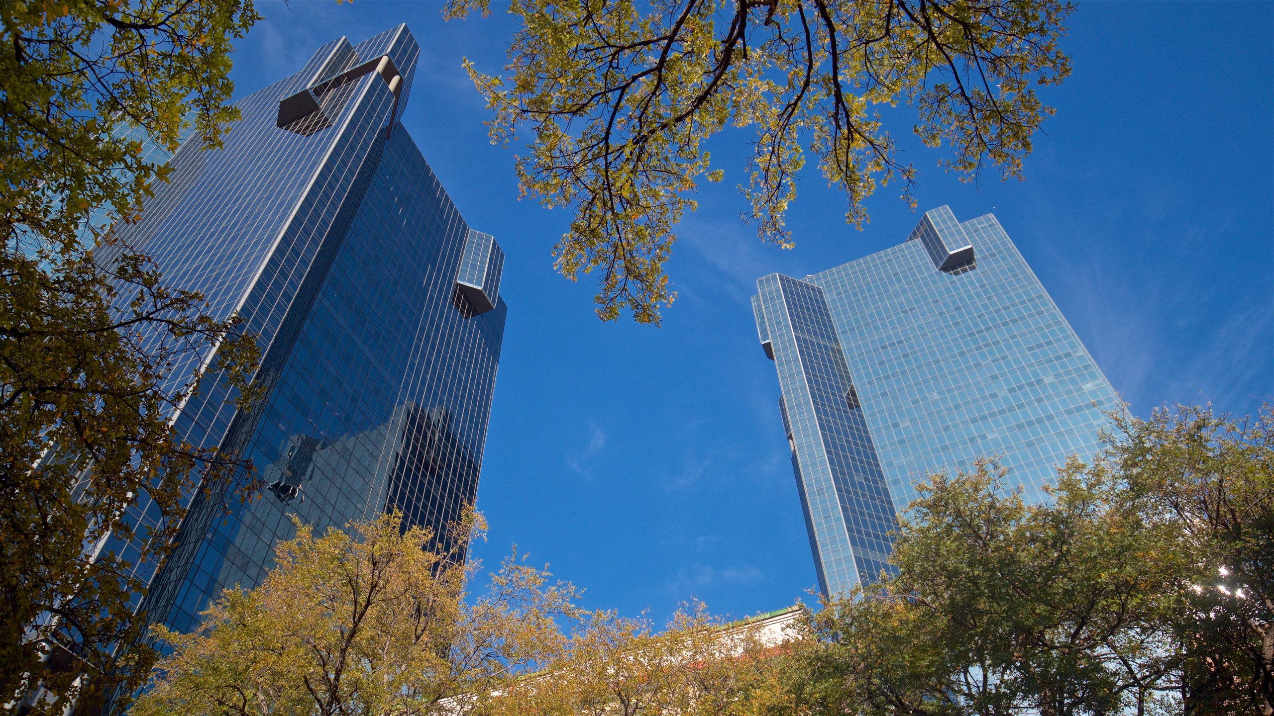 Sundance Square featuring a city and a high rise building