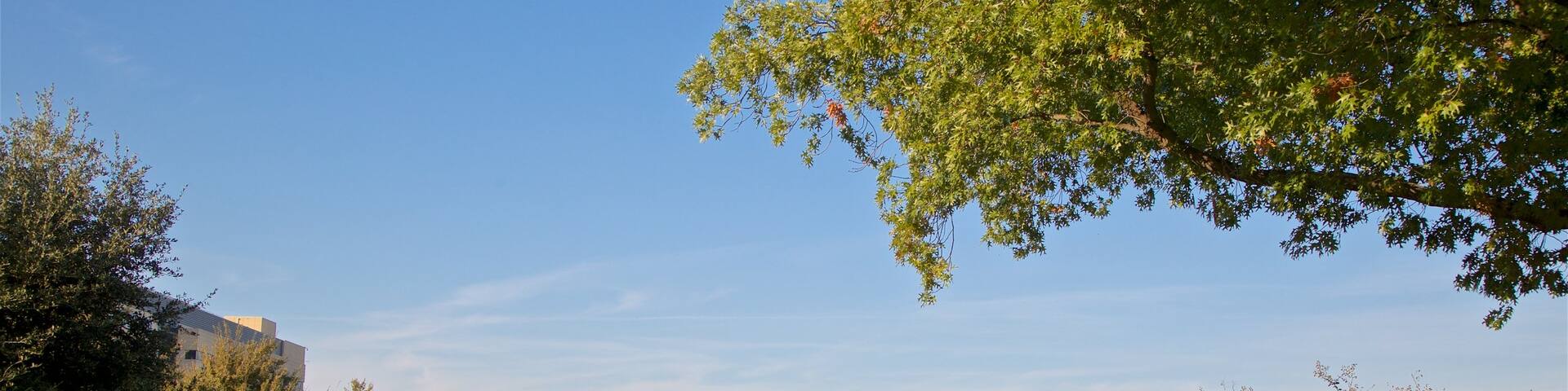 Kimbell Art Museum which includes a garden as well as a small group of people