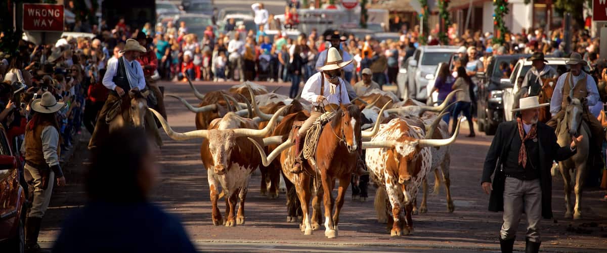 Fort Worth Stockyards which includes land animals, horse riding and a festival