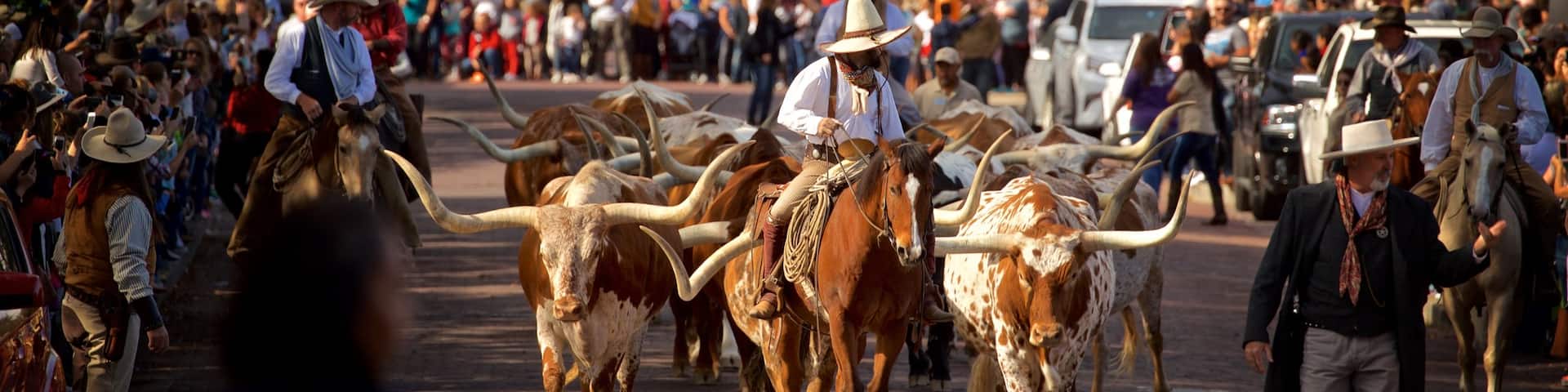 Fort Worth Stockyards showing a festival, land animals and horseriding