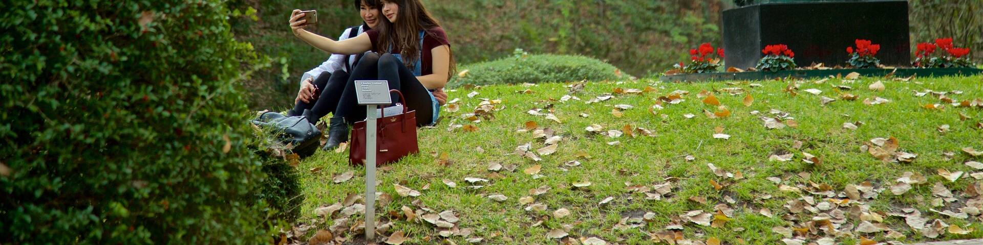 Umlauf Sculpture Garden and Museum showing a statue or sculpture and a garden as well as a couple