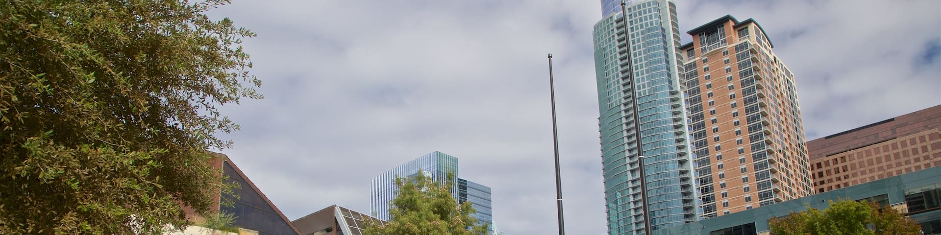 Ayuntamiento de Austin que incluye una ciudad y un rascacielos