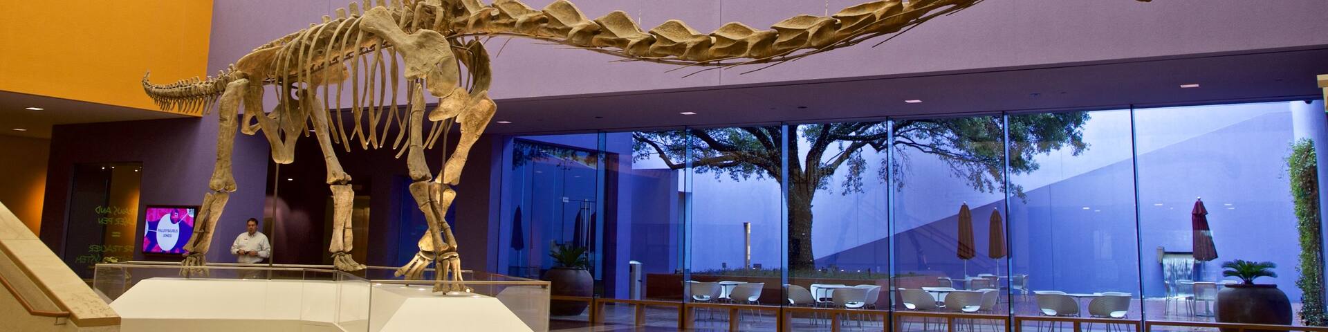 Fort Worth Museum of Science and History featuring interior views and heritage elements