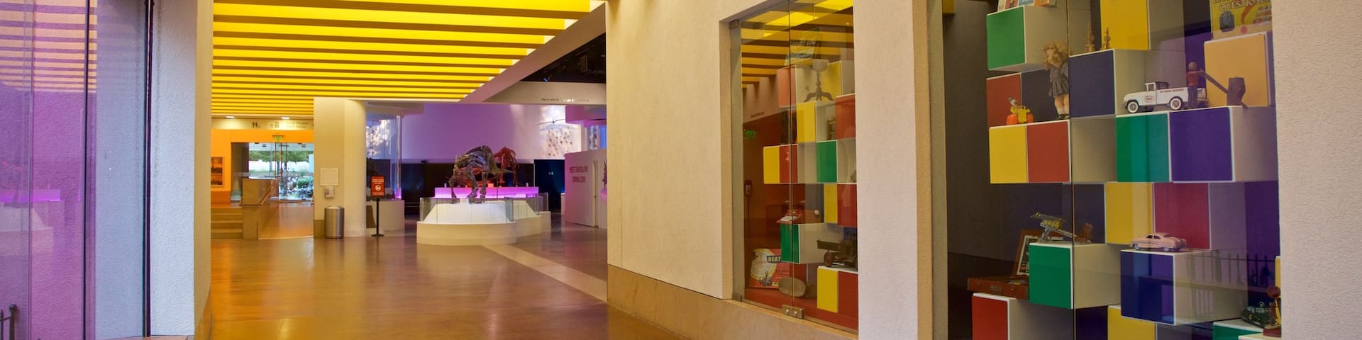 Fort Worth Museum of Science and History showing interior views