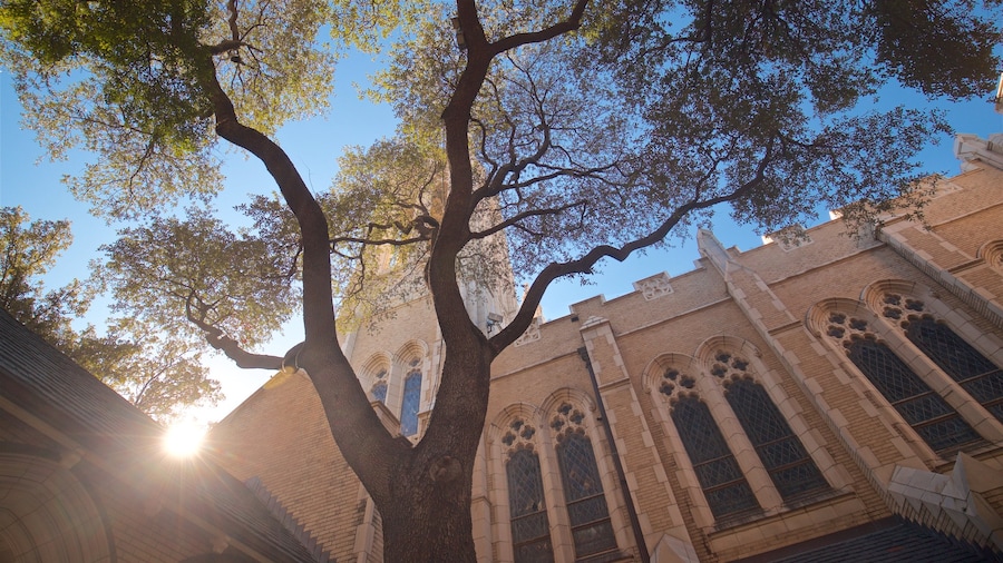 St. Patrick Cathedral showing a sunset, heritage architecture and a church or cathedral