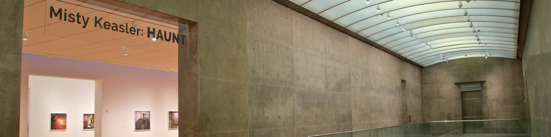 Modern Art Museum of Fort Worth ofreciendo vistas interiores