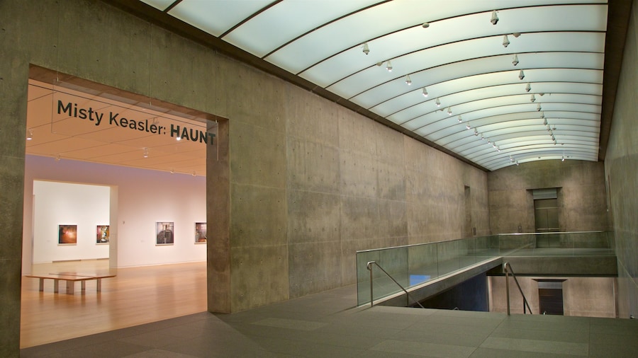 Museo di Arte Moderna di Fort Worth caratteristiche di vista interna