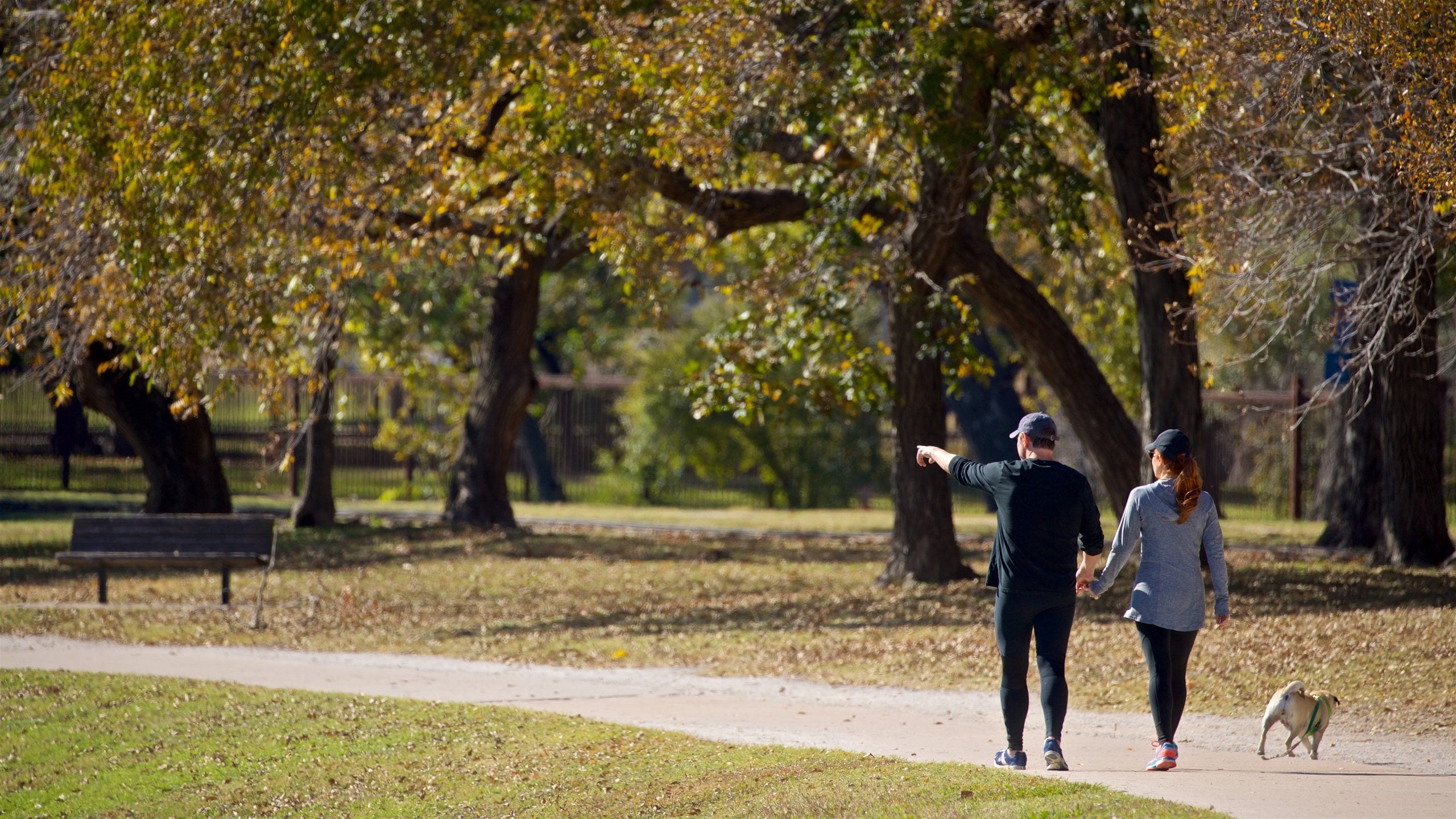 Trinity Park showing a garden, cuddly or friendly animals and hiking or walking