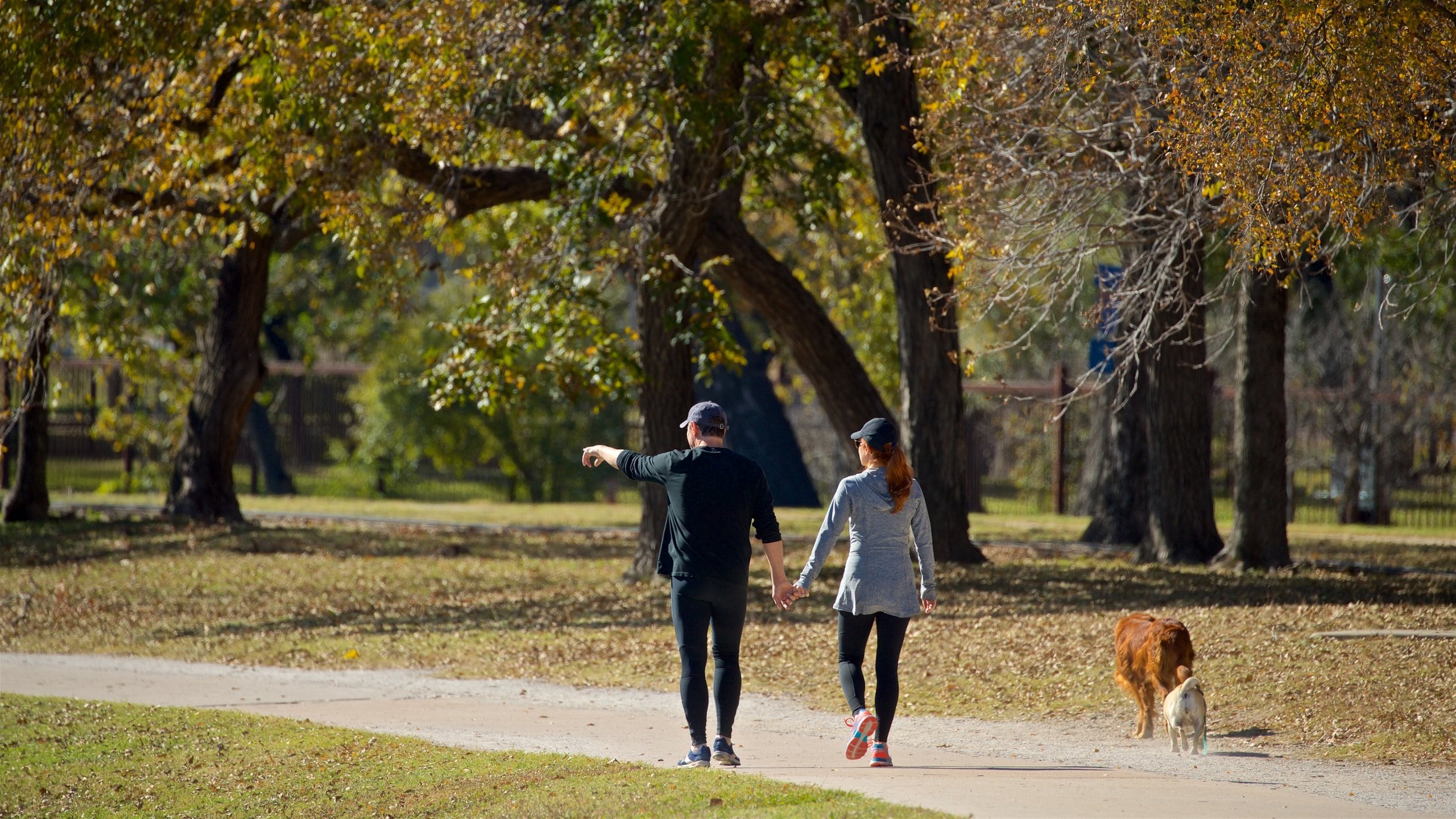 Trinity Park featuring cuddly or friendly animals, hiking or walking and a garden