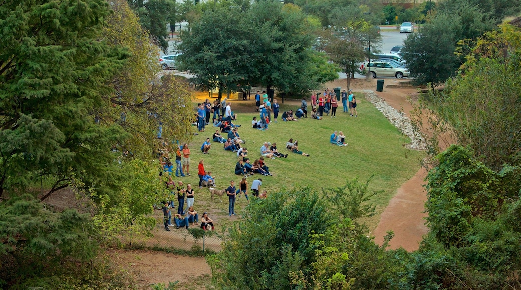 Ann W. Richards Congress Avenue Bridge which includes a park as well as a small group of people