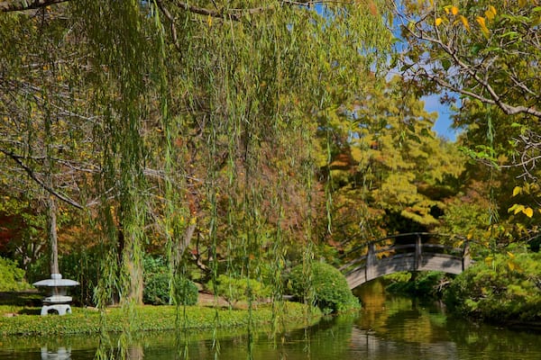 Fort Worth Japanese Garden featuring a bridge, a river or creek and a park