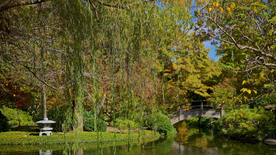Fort Worth Japanese Garden featuring a river or creek, a garden and a bridge