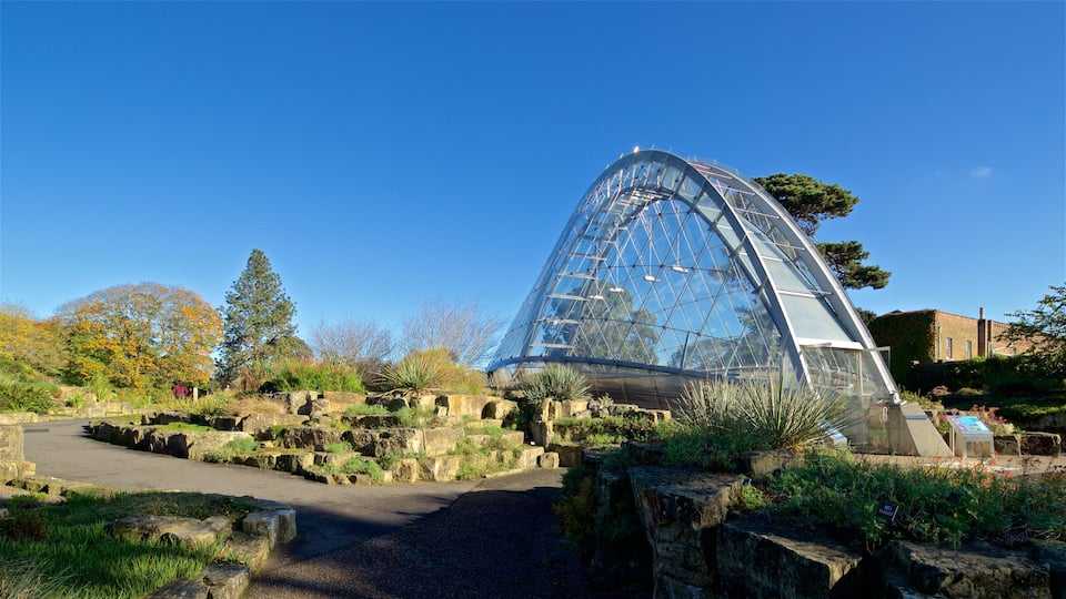 Royal Botanic Gardens showing a garden