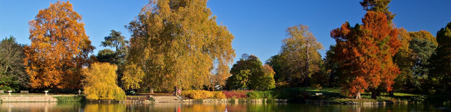 Royal Botanic Gardens featuring a pond