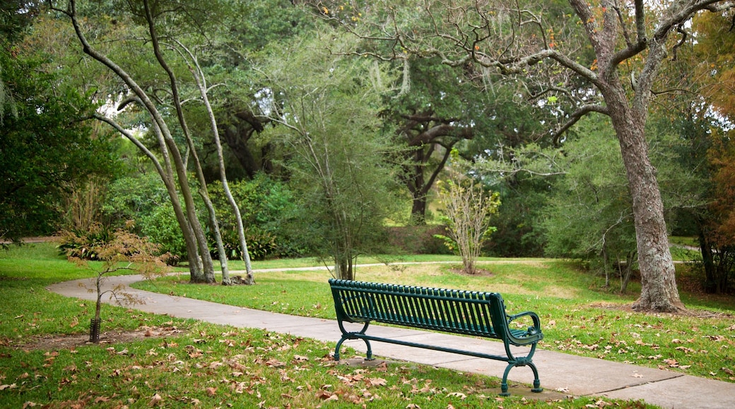 Arsenal Park featuring a garden