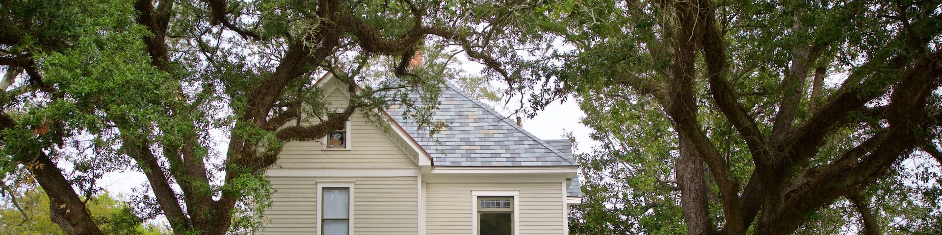 Lake Charles Historic District featuring a house