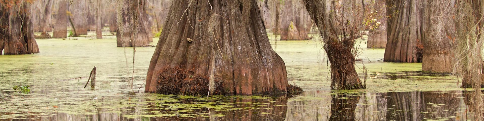 Lafayette showing a pond