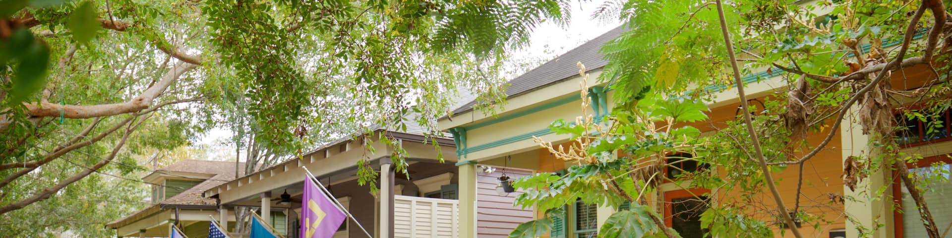 Spanish Town Historic District showing a house