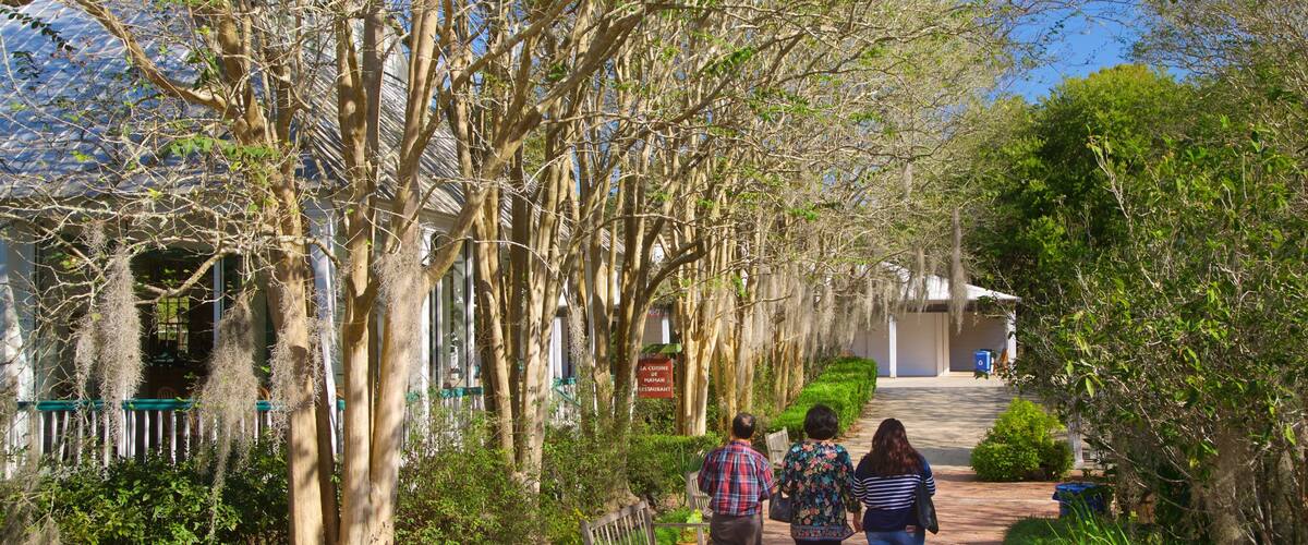 Vermilionville que incluye un parque y también un pequeño grupo de personas