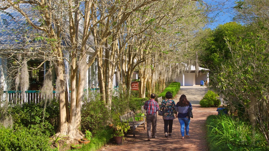 Vermilionville que incluye un parque y también un pequeño grupo de personas