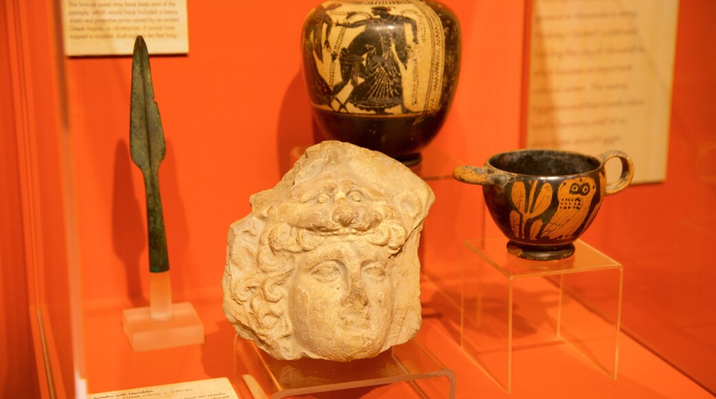 Louisiana Art and Science Museum mostrando elementos del patrimonio