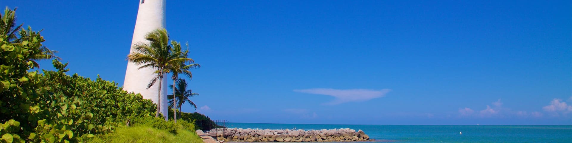 Cape Florida Lighthouse which includes general coastal views, landscape views and a lighthouse