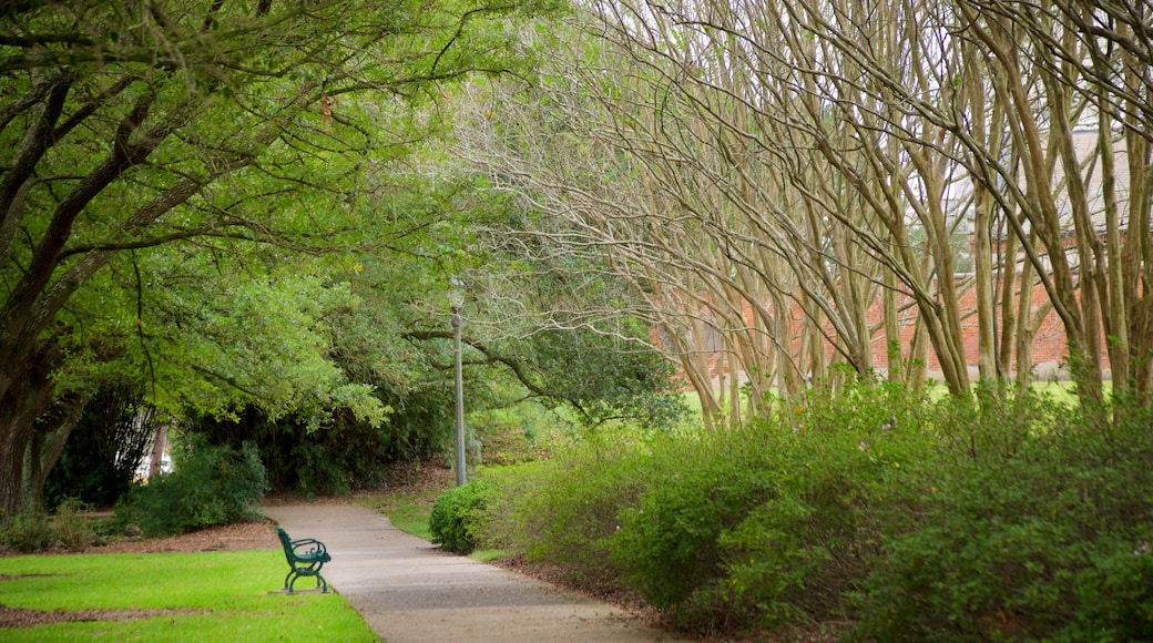Arsenal Park