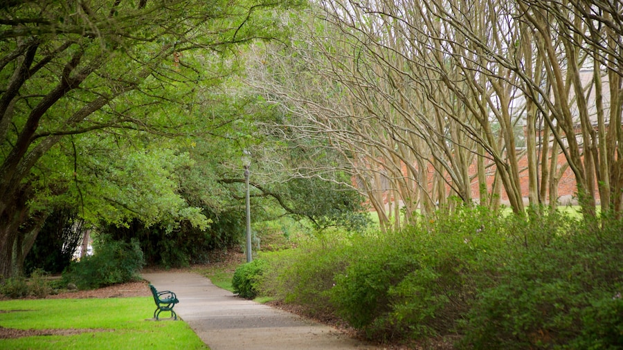 Arsenal Park