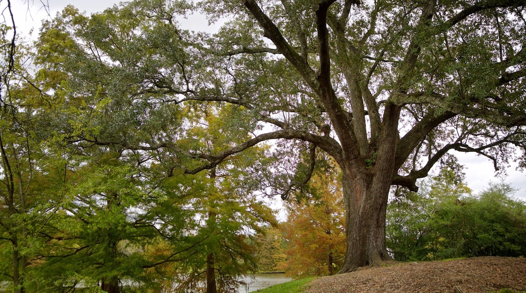 Arsenal Park featuring a park