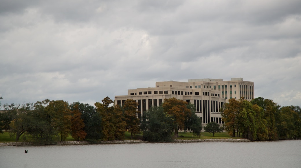 Arsenal Park which includes a lake or waterhole