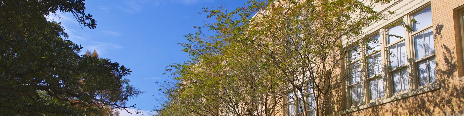 Mardi Gras Museum of Imperial Calcasieu showing a park