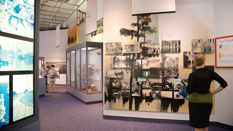 Acadian Cultural Center bevat interieur en ook een vrouw