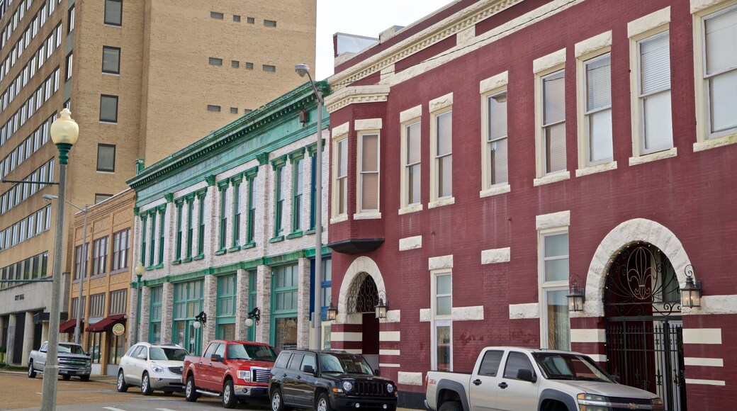 Lake Charles Historic District mostrando una ciudad