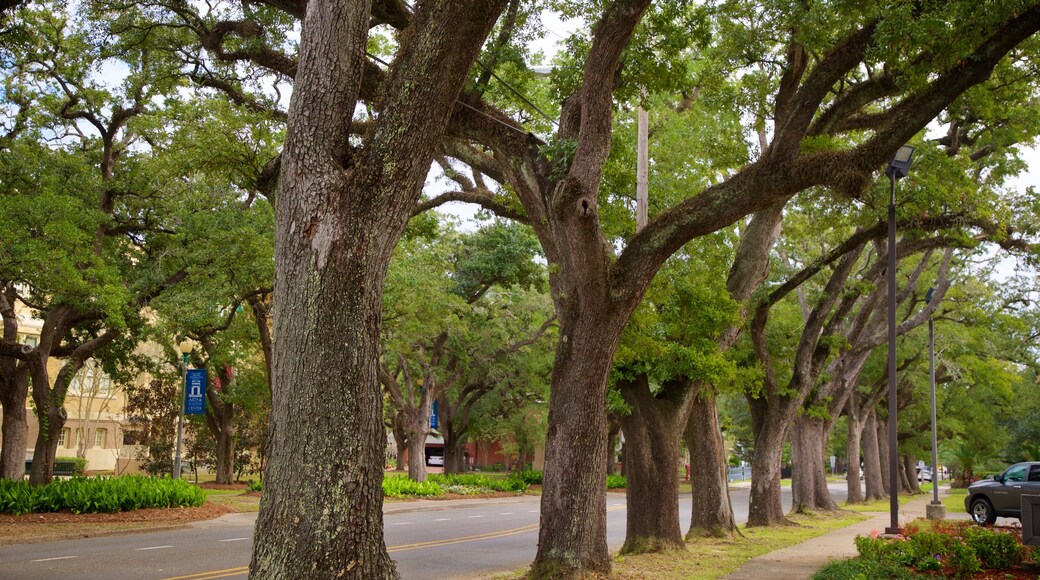 Lake Charles Historic District