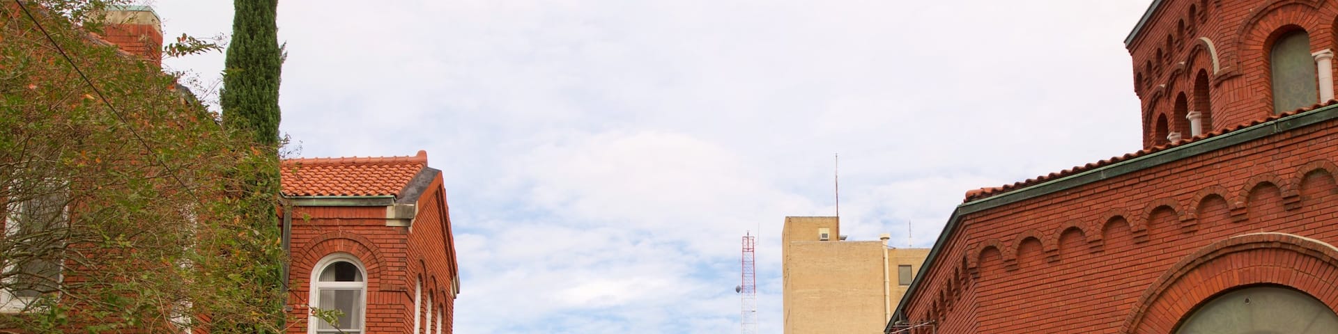 Lake Charles mit einem Kirche oder Kathedrale und historische Architektur