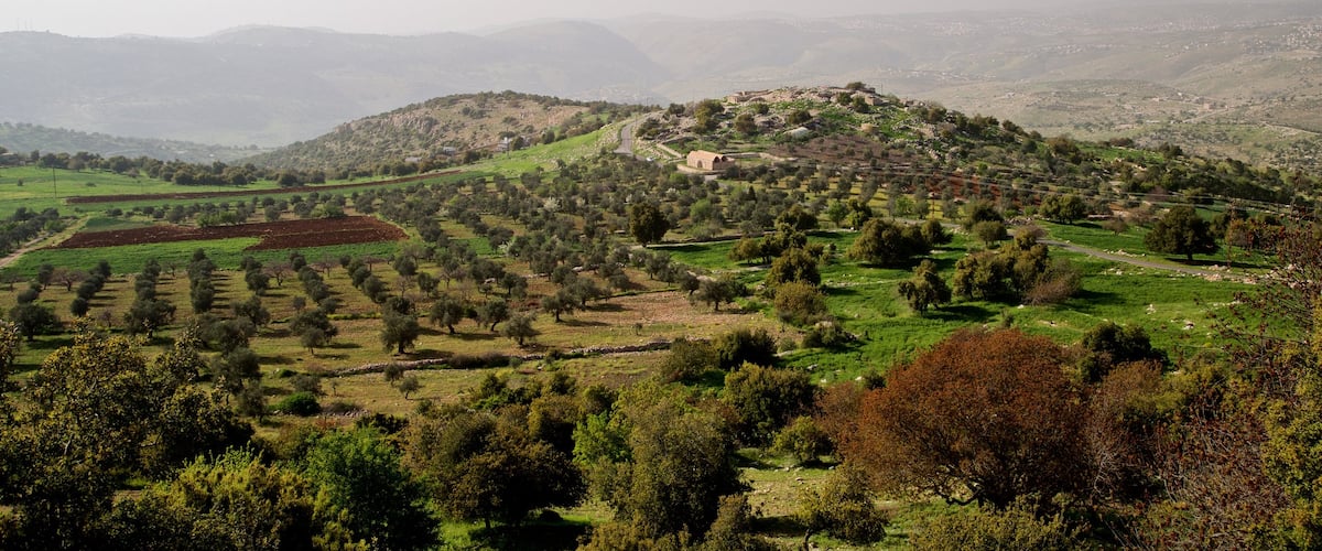 Tell Mar Elias showing tranquil scenes and landscape views