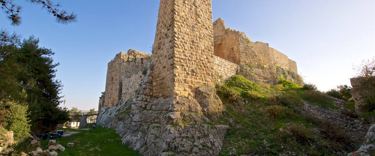 ChĂąteau d\'Ajlun qui includes patrimoine historique et ruine