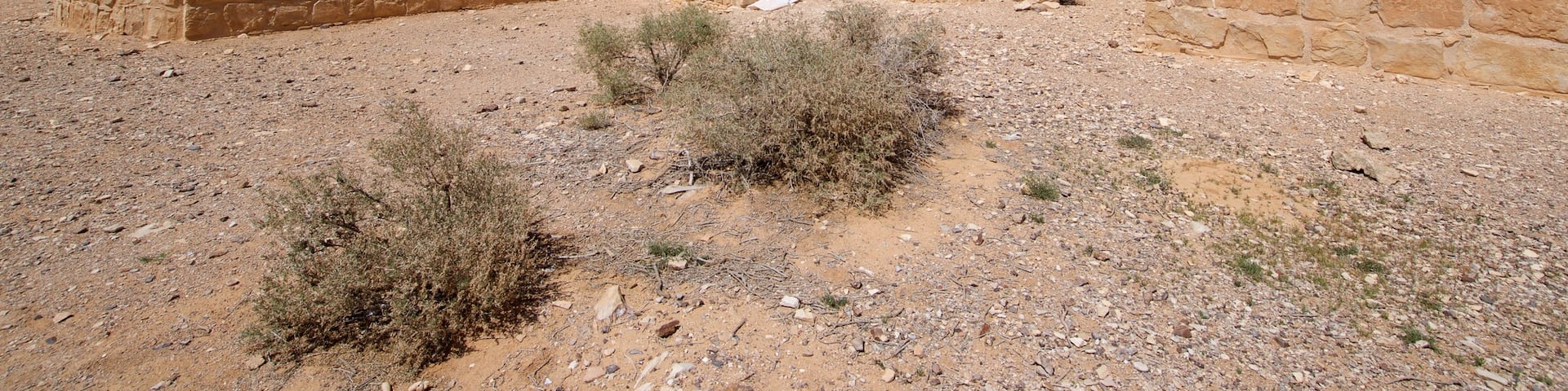 Quseir Amra which includes desert views and heritage elements