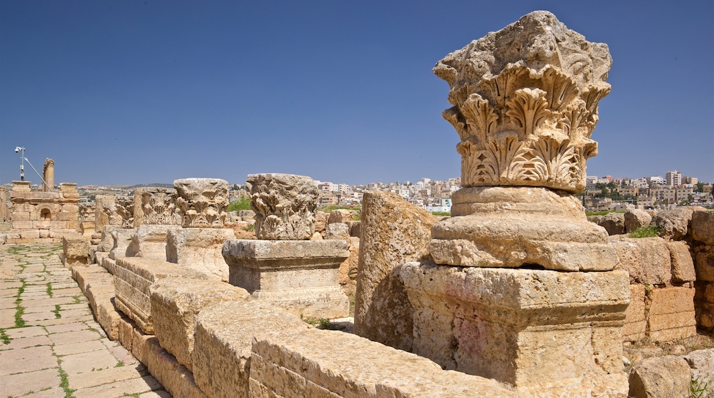 Archeologisch museum van Jerash inclusief vervallen gebouwen en historisch erfgoed