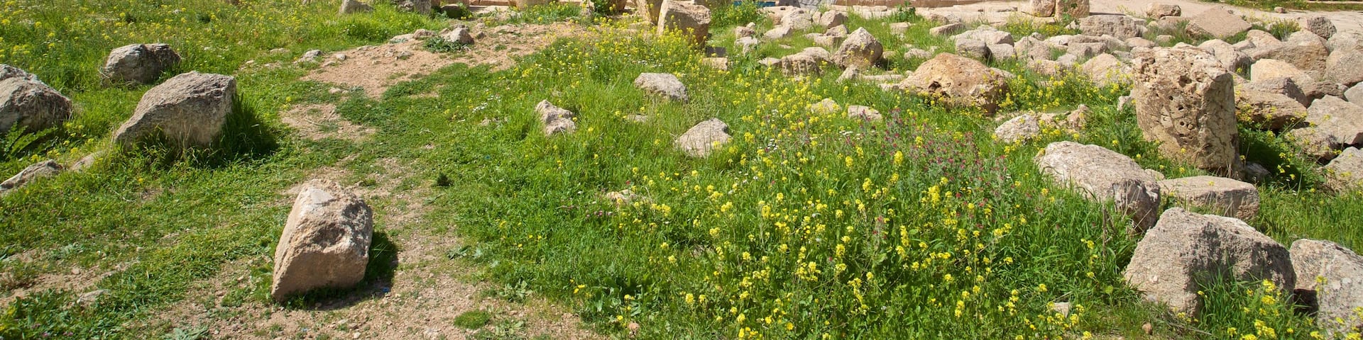 Jerash showing heritage architecture and a ruin